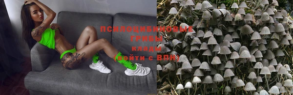 гашиш Богородицк