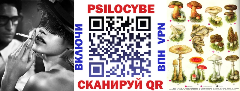 купить  цена  omg tor  Псилоцибиновые грибы мицелий  Электрогорск 