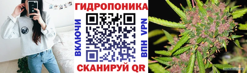 где купить наркоту  Электрогорск  Канабис LSD WEED 